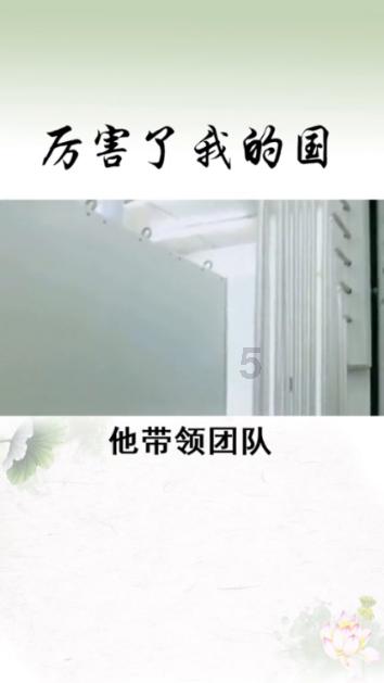 热带假日